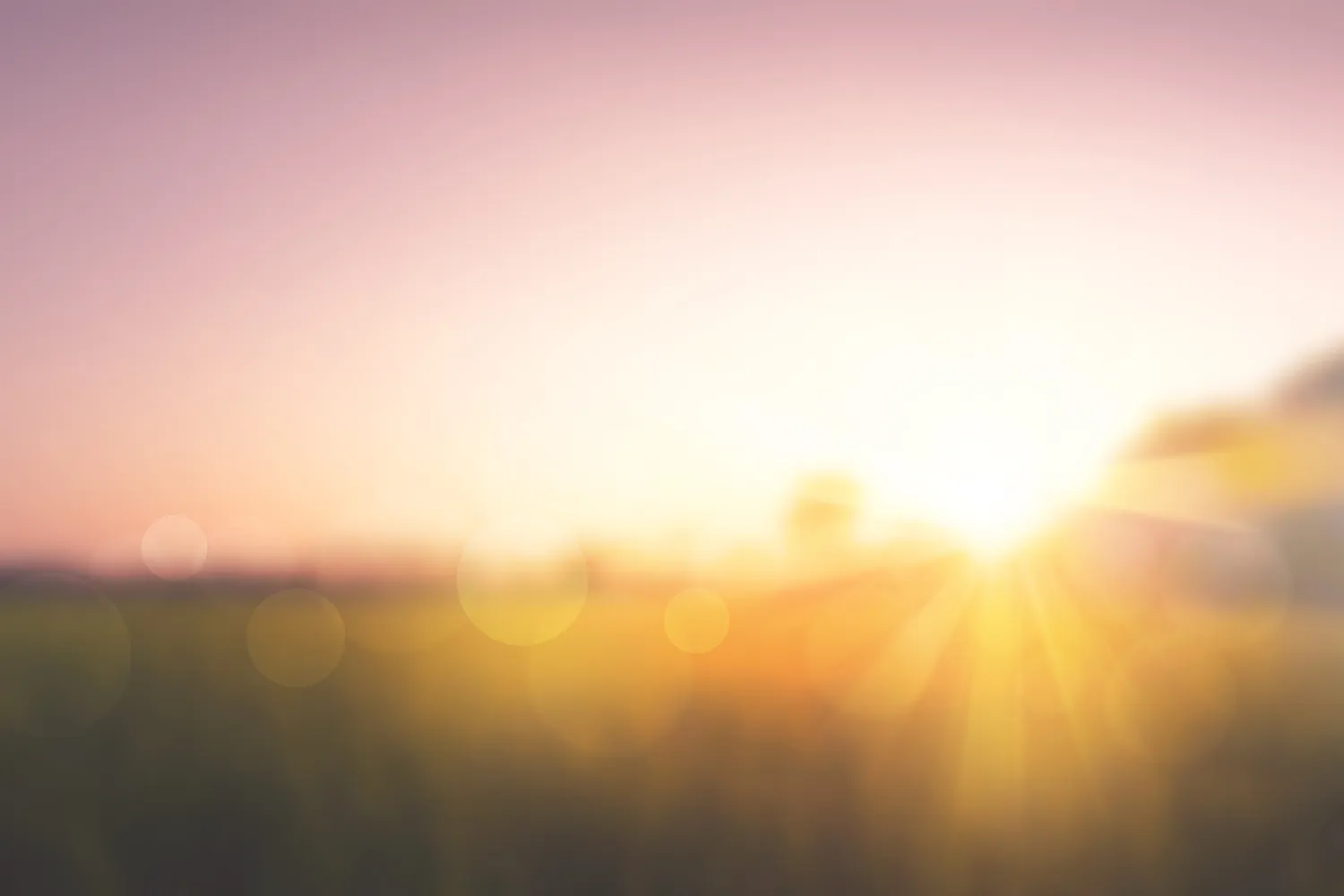Süße Wiesen bei Sonnenuntergang, verschwommener Hintergrund